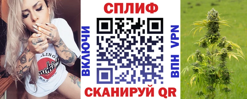 где найти наркотики Стерлитамак Конопля сатива